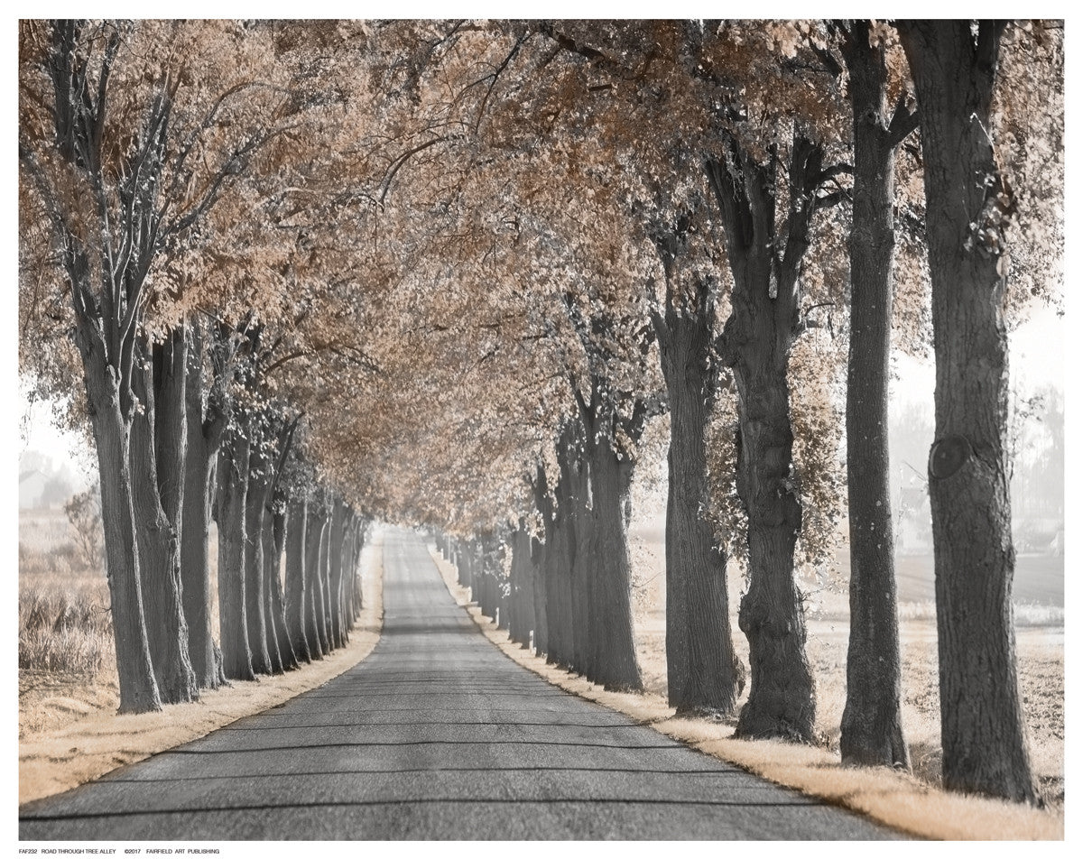 Road Through Tree Alley Posters by Anon - FairField Art Publishing