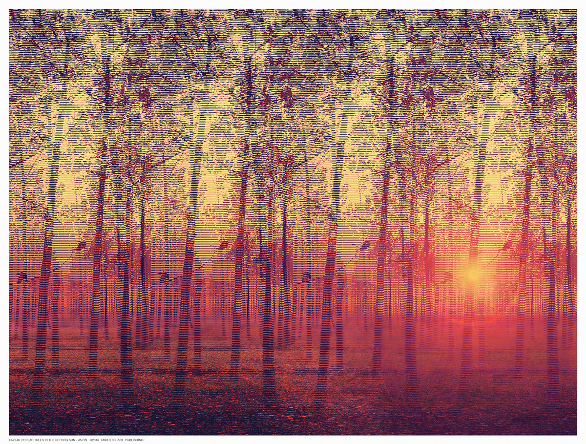 Poplar Trees in the Setting Sun Decorative by Anon - FairField Art Publishing