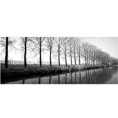 Trees Along the Canal Posters by Anon - FairField Art Publishing