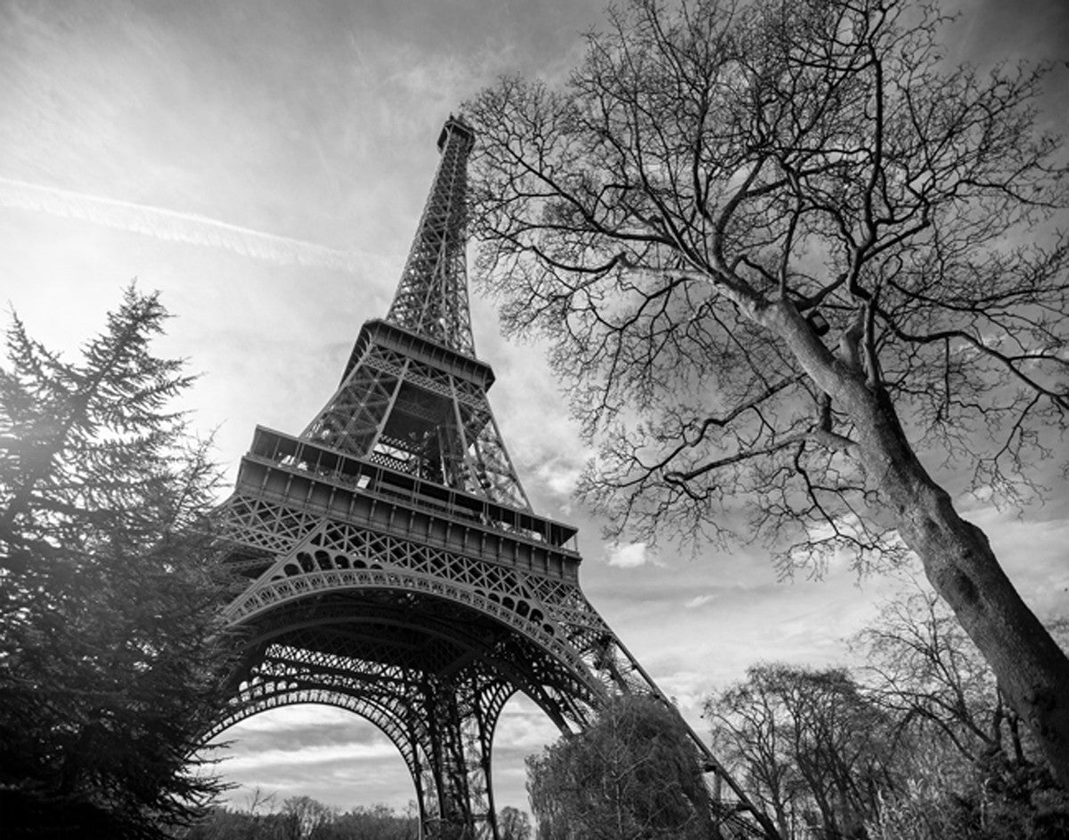 Eiffel Tower with Tree by Stephane Graciet - FairField Art Publishing