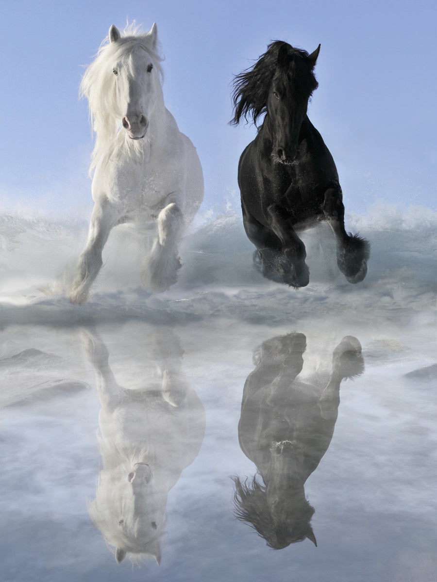 Salt and Pepper Posters by V. Makarova - FairField Art Publishing