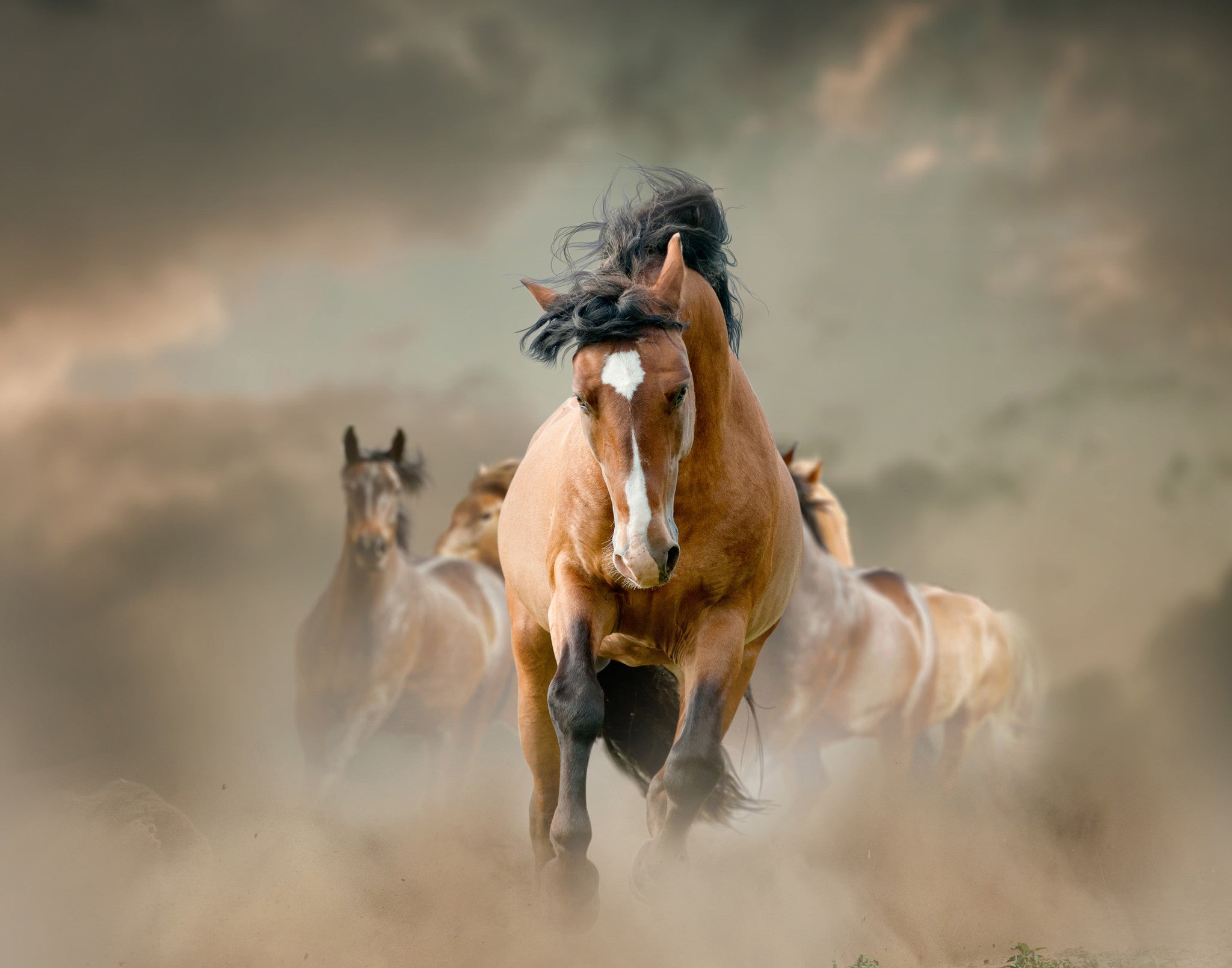 Against the Wind by Maria Itina - FairField Art Publishing