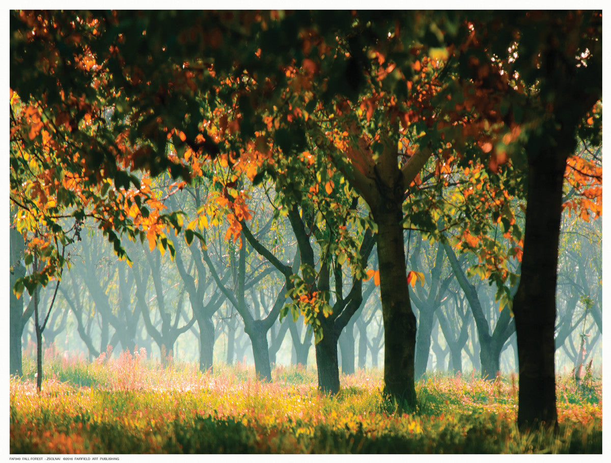 Fall Forest by Zsolnai - FairField Art Publishing