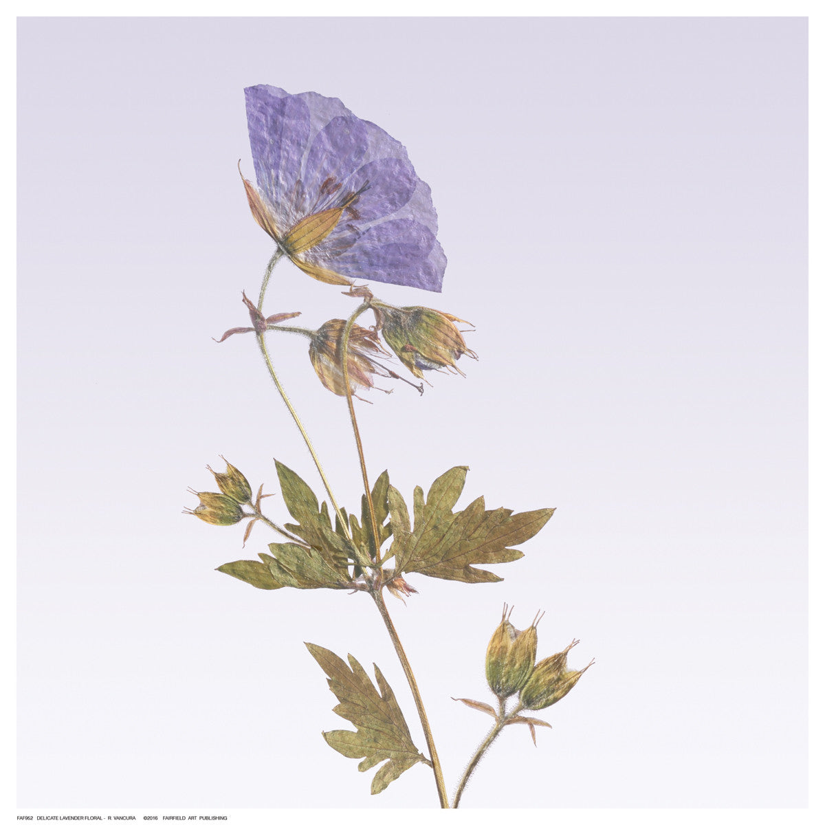 Delicate Lavender Floral by R. Vancura - FairField Art Publishing