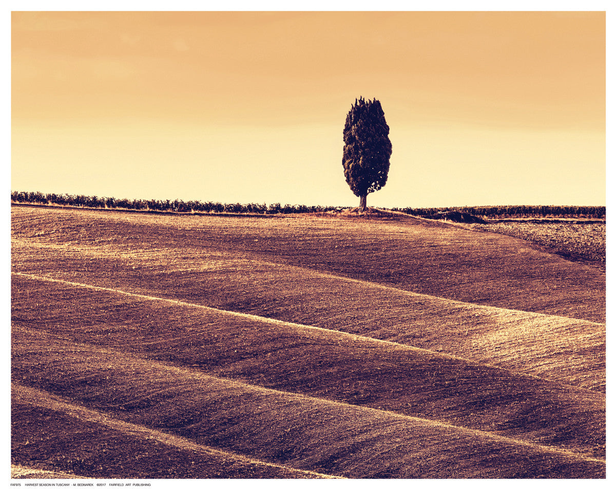 Harvest Season in Tuscany by M. Bednarek - FairField Art Publishing