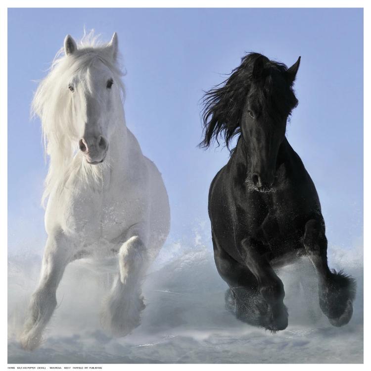 Salt And Pepper  (detail) Posters by V. Makarova - FairField Art Publishing
