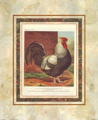 Rose-Combed Dorking Cock Posters by J.W. Ludlow - Cassells Poultry Book - FairField Art Publishing