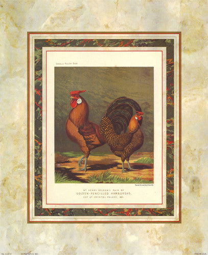 Golden Pencilled Hamburghs by J.W. Ludlow - Cassells Poultry Book - FairField Art Publishing