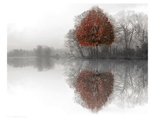 Mirror Lake by Ellen Fisch - FairField Art Publishing