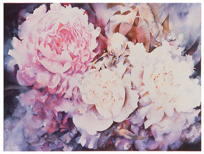 Peonies Floral by David Maddern - FairField Art Publishing