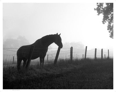 Morning Pasture by Anon - FairField Art Publishing