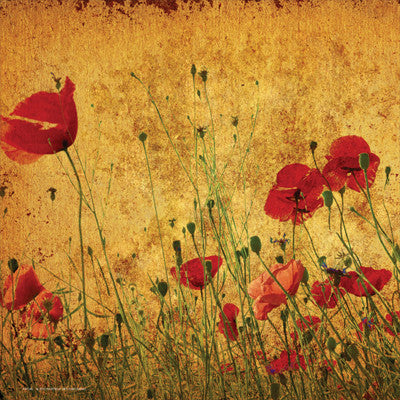 Field of Poppies by Anon - FairField Art Publishing