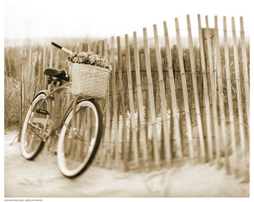 Bike by Beach Fence by Anon - FairField Art Publishing