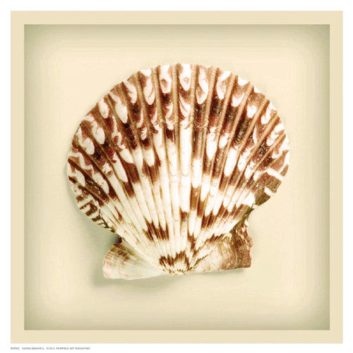 Radial Seashell Coastal by Anon - FairField Art Publishing