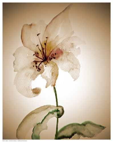 Blossom in Sienna II by Regina - FairField Art Publishing