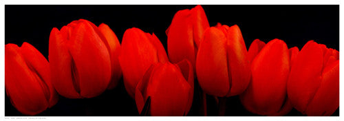Crimson Tulips by R. Crum - FairField Art Publishing