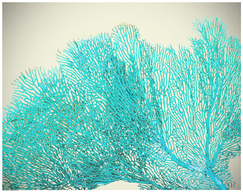 Teal Coral Posters by Anon - FairField Art Publishing