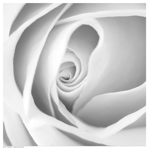 Rose Swirl I Floral by Anon - FairField Art Publishing