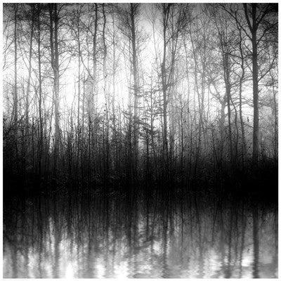 Forest Mist by Anon - FairField Art Publishing