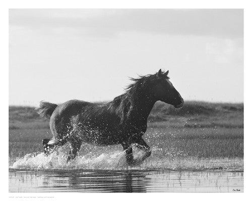 Run Like the Wind Posters by Eve Turek - FairField Art Publishing