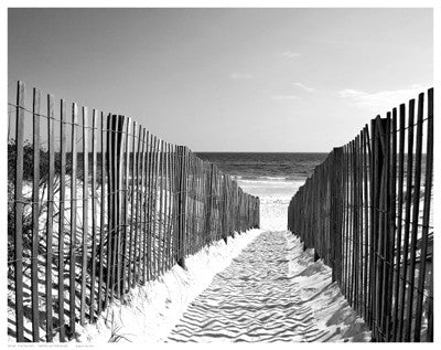 Coastal Path by Anon - FairField Art Publishing