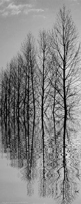 Reflections II Posters by Anon - FairField Art Publishing