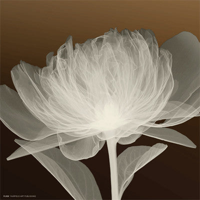 Full Bloom Awakening by Anon - FairField Art Publishing